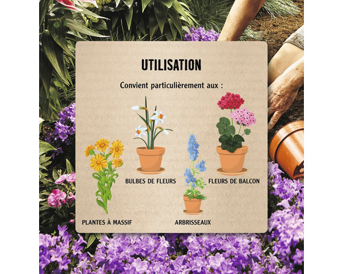 Informations sur l''utilisation de différents types de plantes : plantes de massifs, bulbes de fleurs, arbustes et fleurs de balcon