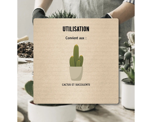 Illustration : Convient aux cactus et plantes grasses