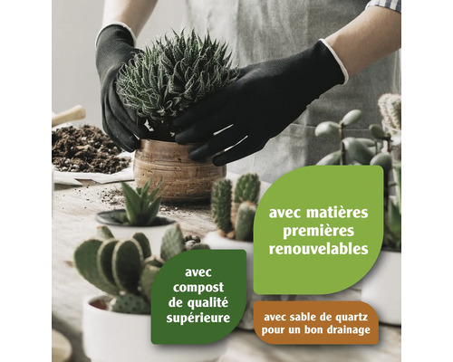 Une personne plante une plante succulente dans un pot avec de la terre composée de matières premières renouvelables, de compost de qualité supérieure et de sable de quartz pour un bon drainage.