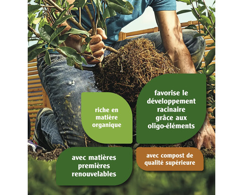 Une personne plante un arbre avec une motte, mise en évidence par des champs de texte qui soulignent les ingrédients organiques et la promotion de la croissance des racines.