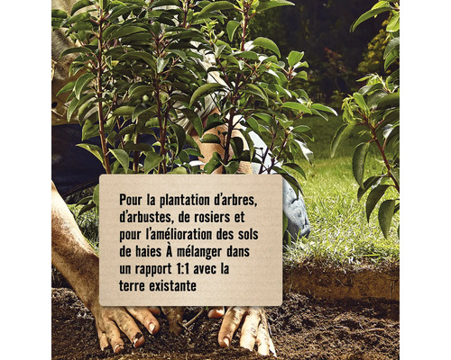 Pour la plantation d''arbres, d''arbustes, de rosiers et pour l''amélioration des sols de haies. Mélanger dans un rapport 1:1 avec la terre existante.