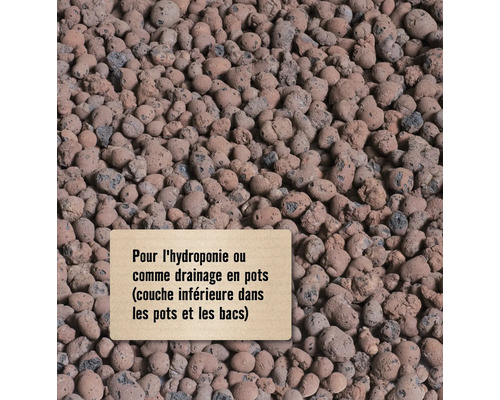Gros plan de billes d''argile pour la culture hydroponique ou comme drainage dans les pots