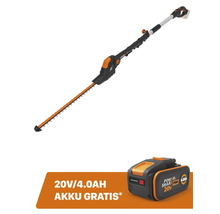 Taille-haie sur perche à batterie avec batterie 20 volts gratuite