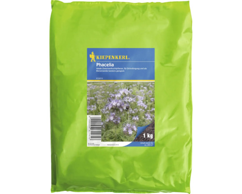 Semence de fleurs de phacélie Kiepenkerl 1 kg