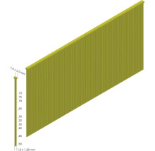 Clous en bande de dimensions 1,0 x 2,0 mm et 1,0 x 1,25 mm