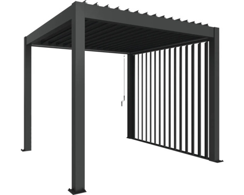 Élément de mur Biohort 235 x 272 gris foncé