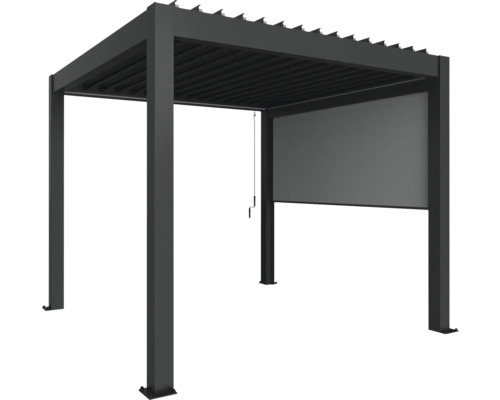 Store de protection solaire biohort pour 3 m de côté gris foncé Pergola de terrasse autoportante en aluminium avec paroi latérale pour le jardin