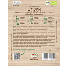 Sachet de graines de blé pour la culture de graines germées et de micro-pousses