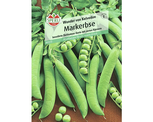 Graines de pois potagers 'Wunder von Kelvedon'