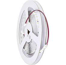 Ruban LED sur bobine pour intérieur
