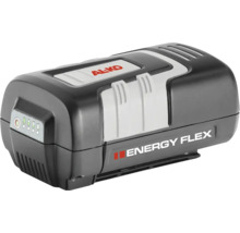 Batterie de rechange AL-KO 36 V / 4.0 Ah