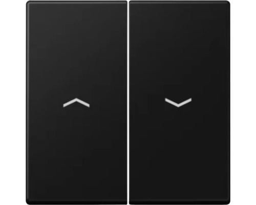 Recouvrement Jung A 595 P SWM volet roulant 2 fois noir graphite/mat série A550 Deux interrupteurs noirs avec symboles de flèche