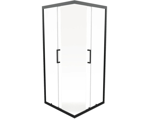 Cabine de douche d''angle avec portes en verre et poignées