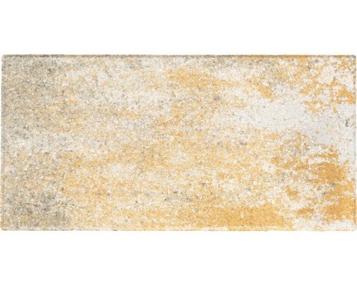 Rechteckiger Pflasterstein