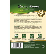 Paquet de graines de roquette wasabi