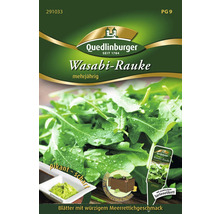 Sachet de graines de roquette wasabi de Quedlinburger
