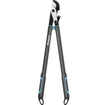 Gartenschere mit langem Griff für Baumschnitt