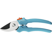 Sécateur pour l''élagage des arbres