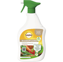 Solabiol Grundstoff Lecithin Pflanzenschutzmittel in einer Ein-Liter-Sprühflasche zur natürlichen Pilzabwehr für Gemüse.