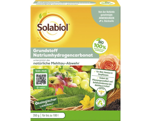 Substance de base hydrogénocarbonate de sodium Solabiol agent de renforcement 350 g jusqu'à 100 l de produit de pulvérisation