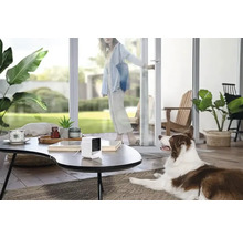 Photo d''intérieur d''une femme entrant dans une pièce par une porte, avec un chien et une caméra de surveillance sur une table