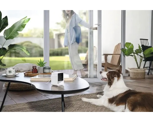 Photo d''intérieur d''une femme entrant dans une pièce par une porte, avec un chien et une caméra de surveillance sur une table