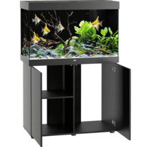 Aquarium mit Unterschrank und Fischen