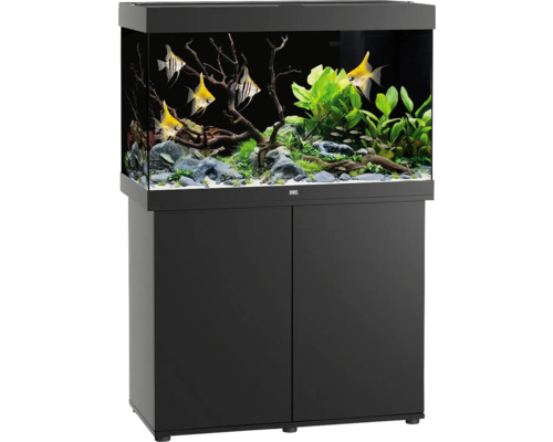 Aquarium mit Unterschrank, Fische, Pflanzen, Steine und Dekoration
