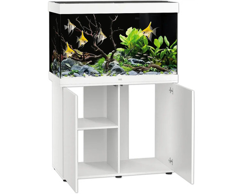Aquarium complet avec meuble et poissons tropicaux