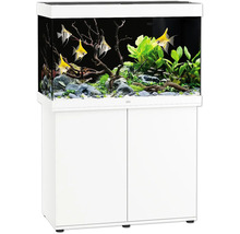 Aquarium mit Unterschrank, inklusive Fische, Pflanzen, Steine und Dekoration