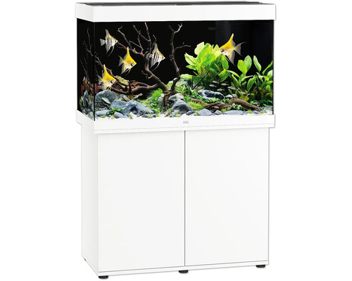 Aquarium mit Unterschrank, inklusive Fische, Pflanzen, Steine und Dekoration