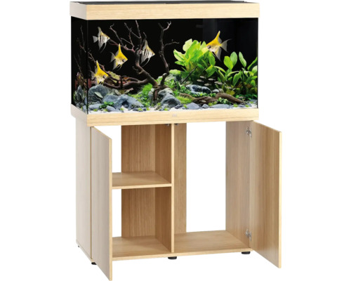 Aquarium complet avec poissons, plantes et meuble bas