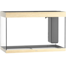 Leeres Glasaquarium mit Holzrahmen und Innenfilter