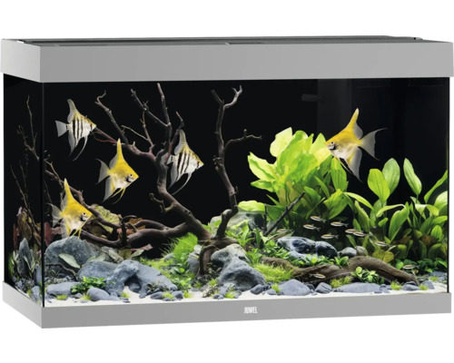 Aquarium JUWEL Rio 290 SBX mit LED-Beleuchtung, Heizer, Filter ohne Unterschrank grau, ca. 101 x 51 x 66 cm, ca. 290 L Aquarium mit Fischen, Pflanzen und Dekoration