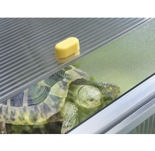 Detailaufnahme eines Schildkrötenhauses mit Schildkröte, transparenter Abdeckung, Netz und gelbem Verschluss
