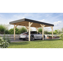 Abri de voiture en bois avec voiture dans le jardin