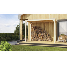 Maison en bois avec pile de bois dans le jardin