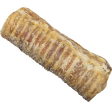 Friandise à mâcher pour chien côte de porc