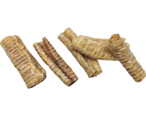 Diverses trachées de bœuf séchées pour chiens