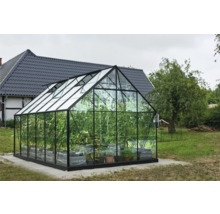 Serre avec plantes dans le jardin