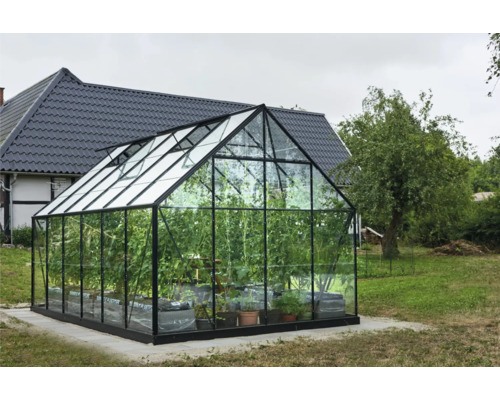 Gewächshaus Halls Universal 128 Sicherheitsglas 3 mm Doppelschiebetür 257 x 257 cm schwarz Gewächshaus mit Pflanzen im Garten