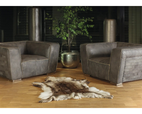 Wohnzimmer mit zwei Sesseln, einem Fellteppich und einer Zimmerpflanze