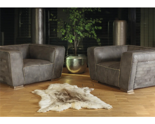 Zwei Sessel mit einem Fellteppich und einer Pflanze in einem silberfarbenen Topf