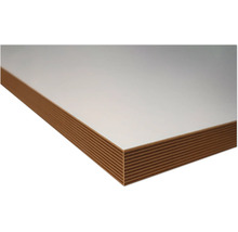 Panneau de contreplaqué plaqué avec revêtement