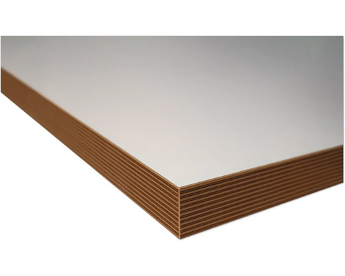 Panneau de contreplaqué plaqué avec revêtement