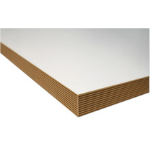 Panneau de contreplaqué avec revêtement