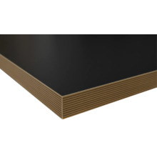 Panneau stratifié avec revêtement