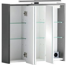 Spiegelschrank Palermo 65 x 16 x 62,7 cm anthrazit 3-türig LED