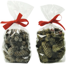 Deux sachets de pommes de pin avec un ruban décoratif