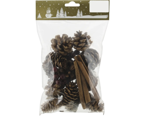 Weihnachtsdekoration Tannenzapfen und Zimtstangen Dekorationsset mit Tannenzapfen, Beeren und Zimtstangen in Plastikverpackung